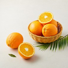 곰곰 미국산 점보 오렌지, 1봉, 2.1kg(특대과)