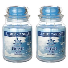 르미에 라지자 캔들, 후레시에어, 700g, 2개