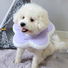 DING DONG PET 寵物雛菊花瓣頸圈, 藍色