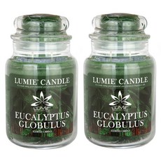르미에 라지자 캔들, 30. 유칼립투스, 700g, 2개