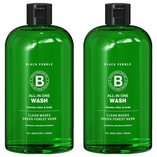 블랙페블 올인원 쿨링 클린 웨이브 남성청결제, 2개, 500ml