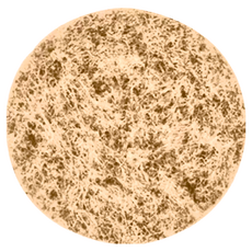 Tescoma 拋棄式桌椅墊腳/防滑墊 圓形 PET塑料, 1組