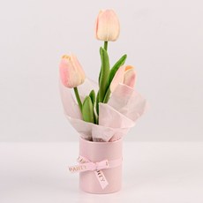 Souplace 人造鬱金香紙花盆組 S261-0102P, 粉紅色, 1套