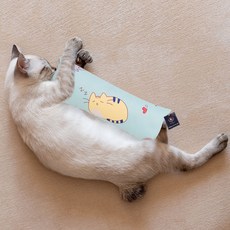 딩동펫 고양이 볼드 마따따비 캣닢 쿠션 바스락 장난감 대형, 블루, 1개
