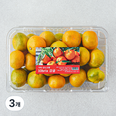 가족 당도선별 10brix 감귤, 1.2kg(꼬마과), 3개