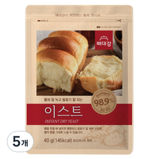배대감 이스트, 40g, 5개