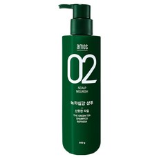 아모스프로페셔널 녹차실감 샴푸 지성 산뜻한 타입, 500g, 1개