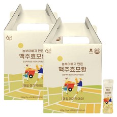 황금이네 맥주효모환 50p, 100g, 2개