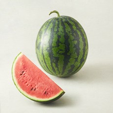 곰곰 햇사레 다올찬 당도선별 수박, 1개, 8kg 이상