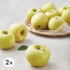 시나노골드 못난이사과, 2kg(소과, 10~12입), 2개