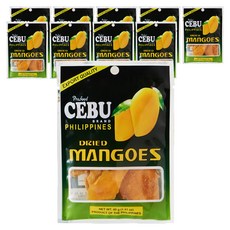 세부 건망고, 40g, 10개