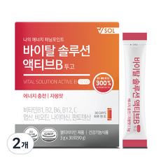 브이솔 바이탈솔루션 액티브B 투고 비타민B 3g x 30p, 2개, 90g