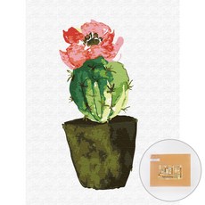 아트조이 DIY 명화그리기 30 x 40 cm, 꽃모자 선인장, 1개