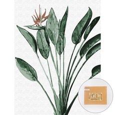 아트조이 DIY 명화그리기 30 x 40 cm, 극락조화, 1개