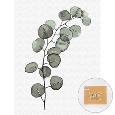 아트조이 DIY 명화그리기 30 x 40 cm, 유칼립투스 가지, 1개