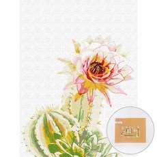 아트조이 DIY 명화그리기 30 x 40 cm, 선인장꽃, 1개
