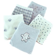 Juniday Angel Rabbit 學生內褲5件組