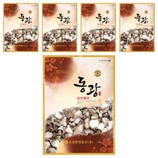 東光綜合物產 GAP認證 韓國產 堤川 菊芋茶, 600g, 5個