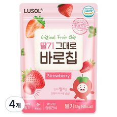 루솔 과일칩 딸기 그대로 바로칩, 12g, 4개