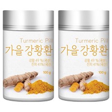 유기농마루 가을 강황환, 2개, 100g