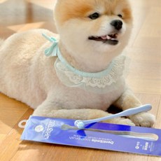 WHISTLE Denti Smile 寵物牙刷, 混合顏色, 1個