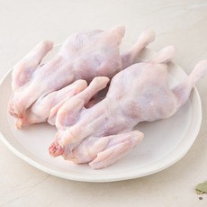 곰곰 유황먹여 키운 두마리 통닭 백숙용(냉장), 1.1kg (550gx2개), 1개