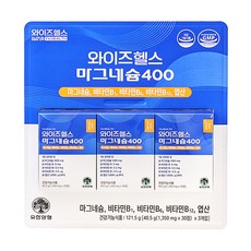 와이즈헬스 마그네슘400 40.5g, 3개, 30정 3개, 30정