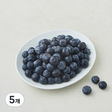 더네이처 칠레산 블루베리, 125g, 5개