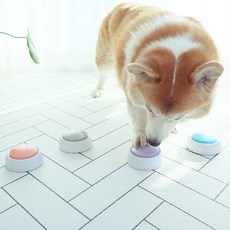 DING DONG PET 寵物訓練錄音鈴4件組, 灰色 + 藍色 + 紫色 + 粉紅色, 1套