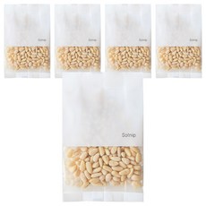 솔닙 국산 포켓 백잣, 40g, 5개