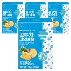 데이앤 콤부차 파인애플 30p, 5g, 30개입, 4개