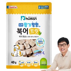 듀먼 반려동물 활기팡팡 트릿, 북어, 40g, 1개