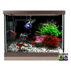 MOBYDICK 現代魚缸套組 A300, 巧克力色, 1套