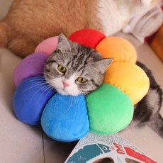 DING DONG PET 寵物蓬鬆向日葵頸圈, 彩虹向日葵