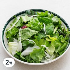 팜에이트 레인보우믹스 그린, 1kg, 1개입, 2팩, 1kg