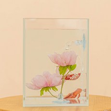 Luminous 鬥魚之家, 單一顏色, 1個