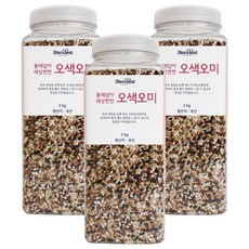 블렌디스트 통에담아 세상편한 오색오미, 2kg, 3개