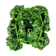 仿真植物 JT1995 12入, 1個