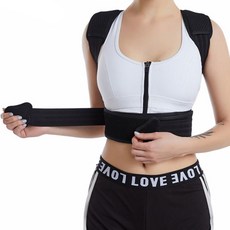 비제스코 허리 밸런스 밴드 VIGE-D11, 1개