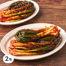 콕집어콕 콕 파김치, 1kg, 2개