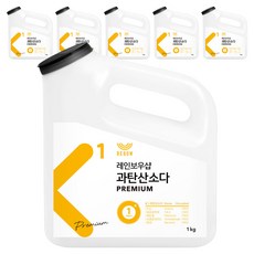 레인보우샵 과탄산소다 프리미엄 본품, 1kg, 6개