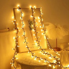 21 世紀潮流 Chom Chom 櫻桃燈泡 LED 燈串, 適配器:5m 250 節距黃燈, 1個