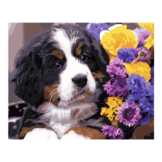 ArtLife 藝術生活 數字油畫DIY DT147 40 x 50cm, 純真, 1個