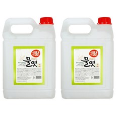 식자재왕 이온물엿, 5kg, 2개