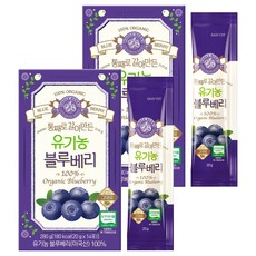 홀베리 통째로 갈아만든 유기농 블루베리, 20g, 28개