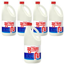펑크린 배수구세정제, 4L, 5개