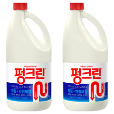 펑크린 배수구세정제, 4L, 2개 4L, 2개
