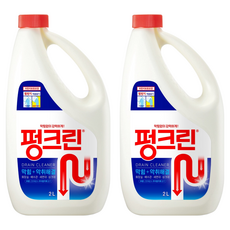 펑크린 배수구세정제, 2L, 2개 2L, 2개