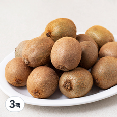 곰곰 국내산 참다래 그린키위(주스용), 1kg(미니), 3팩