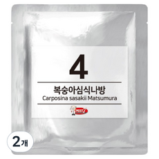 PEST7 費洛蒙誘引劑 04 桃蛀果蛾